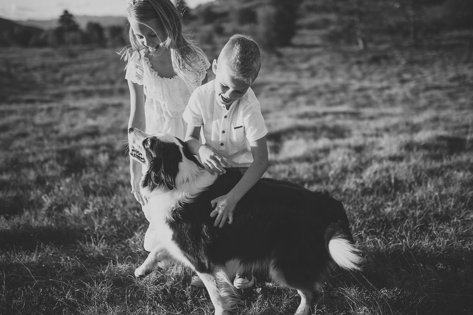 Famiglie