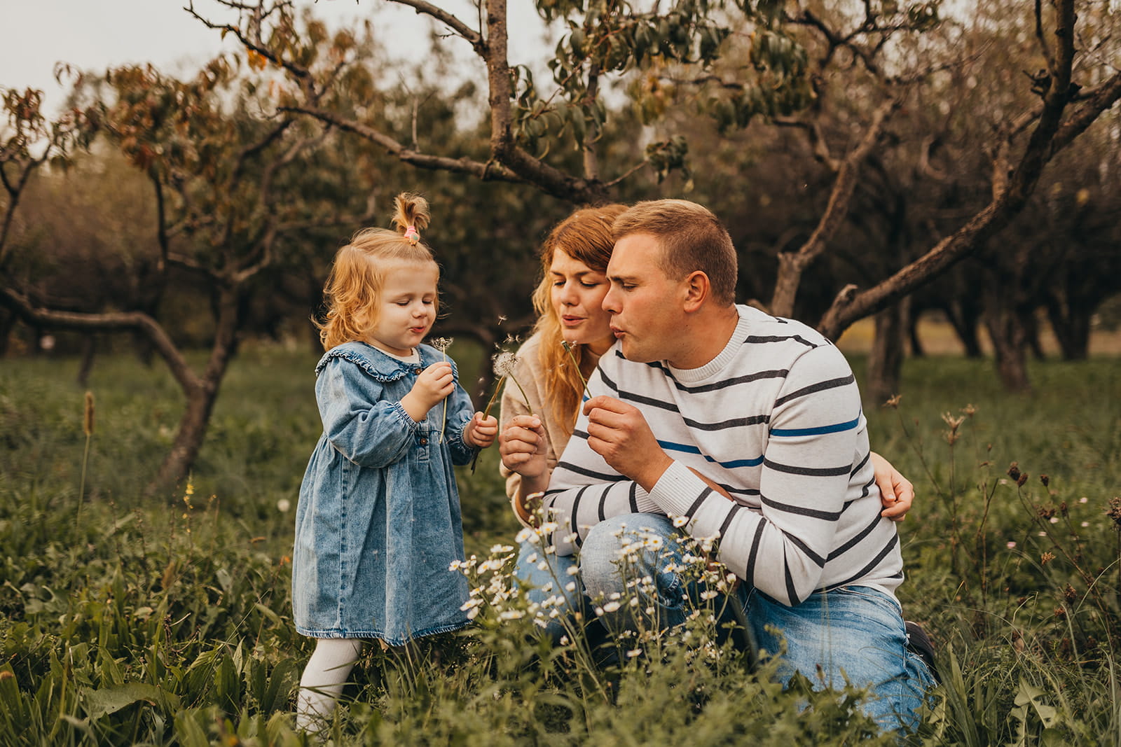 Famiglie