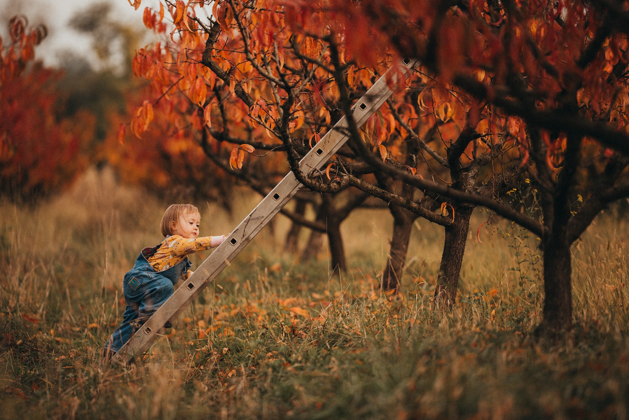 Family moment outdoors
